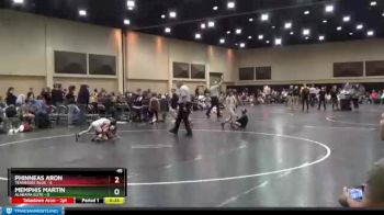 45 lbs Finals (2 Team) - Phinneas Aron, Tennessee Blue vs Memphis Martin, Alabama Elite