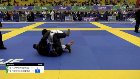 BAB HAMADY NDIASS FAYE vs KLEITON RODRIGUES DOS SANTOS 2024 Brasileiro Jiu-Jitsu IBJJF