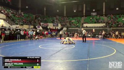 138 lbs 1st Place Match - Bradley Williams, Spain Park Hs vs Jake Ciccolella, Huntsville