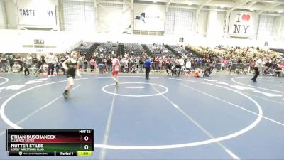 99 lbs Champ. Round 2 - Nutter Stiles, LeRoy Wrestling Club vs Ethan Duschaneck, Club Not Listed