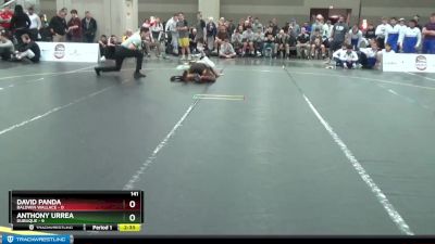 141 lbs Finals (2 Team) - David Panda, Baldwin Wallace vs Anthony Urrea, Dubuque