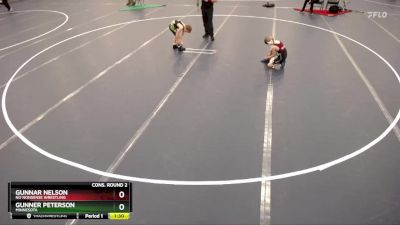 Cons. Round 2 - Gunner Peterson, Minnesota vs Gunnar Nelson, No Nonsense Wrestling