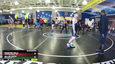 132 lbs Quarters & Wb (16 Team) - Amantee Mills, Alpha Dogz Gold vs Dillon Smith, Eagle Empire