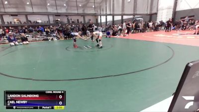 113 lbs Cons. Round 4 - Landon Salindong, CA vs Cael Newby, ID