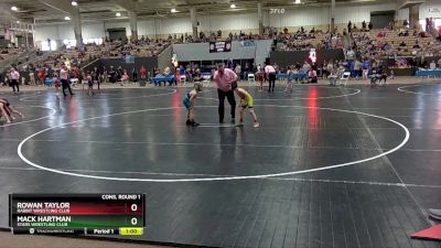 65 lbs Cons. Round 1 - Mack Hartman, Stars Wrestling Club vs Rowan Taylor, Rabbit Wrestling Club