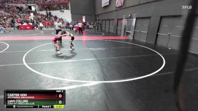 67 lbs Cons. Round 3 - Carter Hoh, Wittenberg-Birnamwood vs Liam Collins, Cuba City Wrestling Club