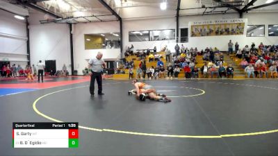 133 lbs Quarterfinal - Brandon D`Egidio, Heidelberg vs Steven Garty, Indiana Tech