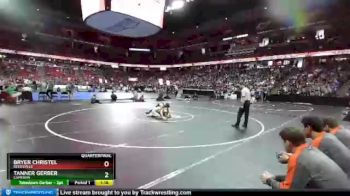 D3-132 lbs Quarterfinal - Tanner Gerber, Cameron vs Bryer Christel, Reedsville