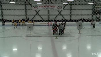 Replay: Home - 2024 VT Flames vs Avalanche U14 | Mar 2 @ 5 PM