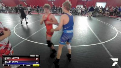 132 lbs Quarterfinal - Amryn Nutter, WI vs Dillon White, IL