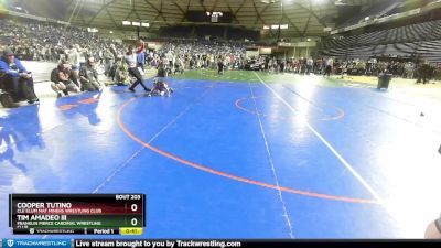 49 lbs Cons. Round 1 - Tim Amadeo Iii, Franklin Pierce Cardinal Wrestling Club vs Cooper Tutino, Cle Elum Mat Miners Wrestling Club