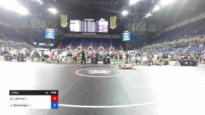 113 lbs Rnd Of 64 - Daniel Lehman, Illinois vs Jaron Bensinger, Michigan