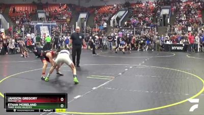 114 lbs Semifinal - Ethan Moreland, Three Rivers Wildcats vs Jamison Gregory, Pinckney WC