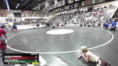 106 lbs Quarterfinal - Jacob Dominguez, Elite Force vs Kaelib Garcia, Temecula Valley Wrestling Club