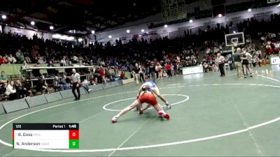 120 lbs Quarterfinal - Bryce Doss, New Palestine vs Nick Anderson, Hamilton Southeastern