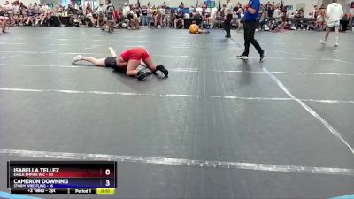 120 lbs Round 4 - Cameron Downing, Storm Wrestling vs Isabella Tellez, Eagle Empire W.C