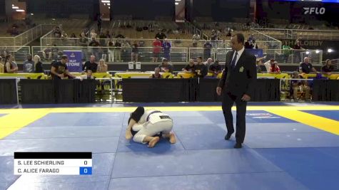 SHANNON LEE SCHIERLING vs CATHERINE ALICE FARAGO 2024 Pan Jiu Jitsu IBJJF Championship