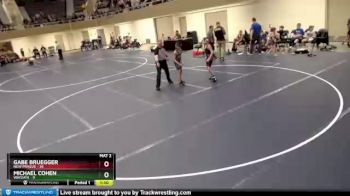 84 lbs Round 2 (6 Team) - Gabe Bruegger, New Prague vs Michael Cohen, Wayzata