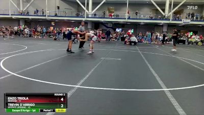 160 lbs Round 2 (10 Team) - Trevin D`Arrigo, Upstate Uprising vs Enzo Triola, RedNose