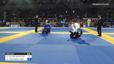 DOUGLAS FELIPPE BARCELOS vs MATHIAS FERNANDES RIBEIRO 2022 European Jiu-Jitsu IBJJF Championship