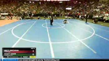 D3-113 lbs 1st Place Match - Brett Birchman, Fennimore vs Wyatt Unser, Glenwood City