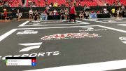 Natan Santos vs Dinu Bucalet 2024 ADCC Sao Paulo Open