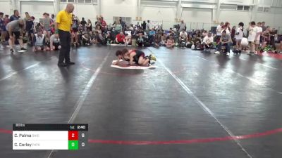 80 lbs Pools - Cole Palma, Ohio Gold 14K vs Connor Corley, Patriots Wrestling Club