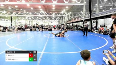 192 lbs Quarterfinal - George Tate, Team Diamond Fish vs Derek Stoney, Apex Worldwide