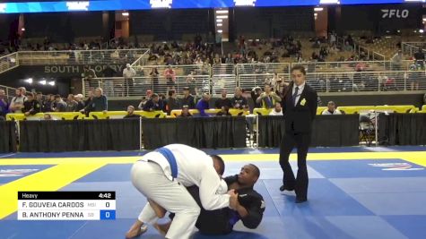 FERNANDO GOUVEIA CARDOSO vs BENJAMIN ANTHONY PENNANT 2024 Pan Jiu Jitsu IBJJF Championship