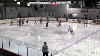 Replay: Home - 2023 Red Wings U17 vs Notre Dame | Nov 17 @ 8 AM