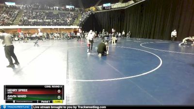 45 lbs Cons. Round 3 - Gavin Ward, Iowa vs Henry Spree, Iowa