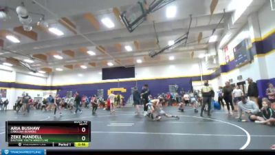 66 lbs Cons. Round 3 - Aria Bushaw, Carolina Reapers vs Zeke Mandell, Eastside Youth Wrestling