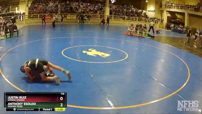 113 lbs Quarterfinal - Anthony Esoldo, Shadow Ridge vs Justin Ruiz, Spanish Springs