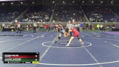 D2-120 lbs Semifinal - Dominic Gumtow, Warren Woods-Tower HS vs Tayden Miller, Mason HS