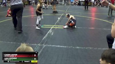 49 lbs Round 5 (6 Team) - Caden Lester, Belding Orange vs Liam Hopkins, SWAT Gold