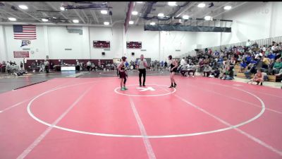 113 lbs Quarterfinal - Delmazio Despard, Windham vs Ryan Lewandoski, Terryville/Thomaston