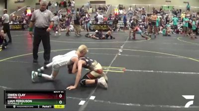 67 lbs Round 4 (6 Team) - Liam Ferguson, Mi Pitbulls vs Owen Clay, Ares Red