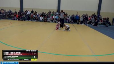 45 lbs Quarterfinal - Coen McDonough, Pursuit Wrestling Minnesota vs Aj Gunderson, Baldwin-Woodville