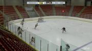 Replay: Home - 2024 Pandas vs STA Sharks | Mar 3 @ 8 PM