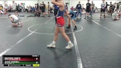 84 lbs Round 4 (8 Team) - Quinn Bagnell, PA Alliance vs Brayden Yakich, Black Fox Wrestling