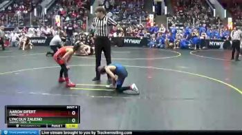 60 lbs Round 2 (4 Team) - Aaron Eifert, Lowell Red vs Lyncoln Zaleski, Harper Creek