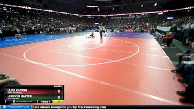 D1-120 lbs Quarterfinal - Luke Kamish, New Richmond vs Hudson Halter, Waterford