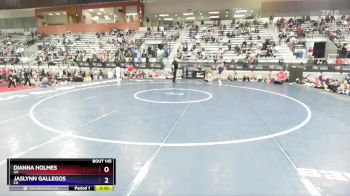 53 lbs Quarterfinal - Dianna Holmes, GA vs Jaslynn Gallegos, CO