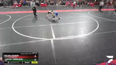 60 lbs Quarterfinal - Carson Torkelson, LAW vs Dylan Louison, MGM Silver Spartans