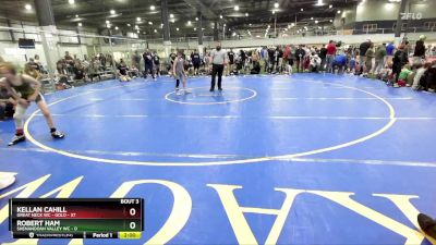 85 lbs Round 1 (6 Team) - Kellan Cahill, GREAT NECK WC - GOLD vs Robert Ham, SHENANDOAH VALLEY WC