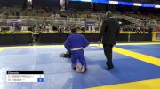 DENNIS CONNER PROULX vs NEIL R SECOR 2024 Pan Jiu Jitsu IBJJF Championship