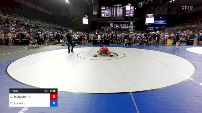 113 lbs Cons 128 #2 - Carter Trukovich, Ohio vs Dominic Lucian, New Jersey