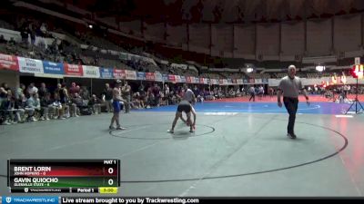 133 lbs Round 3 (3 Team) - Gavin Quiocho, Glenville State vs Brent Lorin, John Hopkins