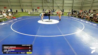 152 lbs Round 1 (16 Team) - Grant Herman, Kansas Blue vs Cael Gilmore, Ohio Gray