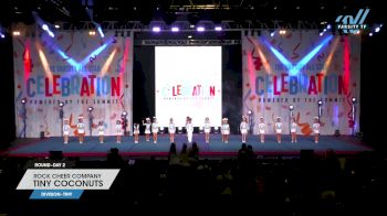 Rock Cheer Company - Tiny Coconuts [2023 L1 Tiny Day 2] 2023 The Celebration powered by The Summit